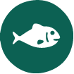 pesce