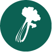 sedano